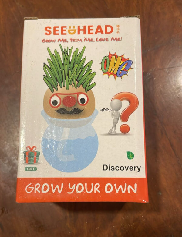 Grass head | DIY Grass Head Dolls Growing kit- Grow and learn with Funny Small Potted Plants for Home and Office, Hand-Watered Green Plant, Educational Toy for Kids - Image 12